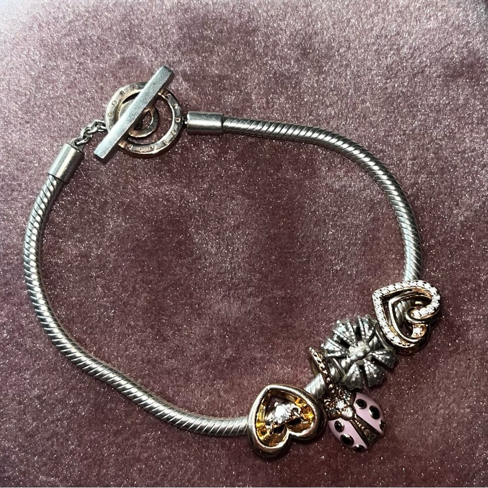 Pandora Charm Bracelet